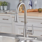 Project Source Ellesburg Stainless Steel Single Handle Deck-mount Pull-down Kitchen Faucet with Sprayer (Includes Deck Plate)