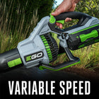 EGO POWER+ 56-volt 765-CFM 200-MPH Battery Handheld Leaf Blower 5.0 Ah Battery Included Charger Included