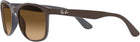 Ray-Ban Unisex Rb4374Sunglasses