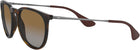 Ray-Ban Women\'s RB4171 Erika Polarized Aviator Sunglasses