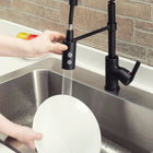 Project Source Flynt Matte black Single Handle Deck-mount Pull-down Kitchen Faucet with Sprayer (Includes Deck Plate)