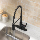 Project Source Flynt Matte black Single Handle Deck-mount Pull-down Kitchen Faucet with Sprayer (Includes Deck Plate)