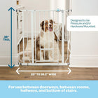 Carlson Extra Tall Walk Through Pet Gate with Small Pet Door, Includes 4-Inch Extension Kit, 4 Pack Pressure Mount Kit and 4 Pack Wall Mount Kit