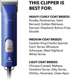 Andis Professional UltraEdge Super 2-Speed Detachable Blade Dog/Pet Clipper, Rotary Motor with Shatter-Proof Housing, Runs Calm & Silent, 14-Inch Cord, for All Dog Coats & Breeds, 120 Volts, Blue