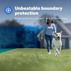 PetSafe Guardian GPS Dog Fence – No Subscription – Create Your Own Wireless Fence for Dogs – for Yards 3/4 Acres or Larger – World\'s Safest GPS Dog Fence Tech – New, Redesigned Collar