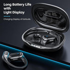 Earhook Headphones
