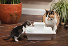 PetSafe Cat and Dog Water Fountain - Automatic Water Dispenser - Drinkwell Pagoda Ceramic Fountain for Pets - Filter Included - 70 oz