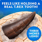 NATIONAL GEOGRAPHIC Jumbo Dinosaur Egg Dig Kit - Excavate 12 Figures & Replica T. Rex Tooth from Giant 15 cm Brick, Dino Egg, Educational Science Kits, Gifts for Boys and Girls, Easter Basket Stuffers