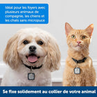 PetSafe Wireless Pet Containment System Receiver Collar for Dogs and Cats Over 2.3 kg, Waterproof with Tone and Static Stimulation