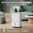 Waykar 80 Pints Energy Star Dehumidifier in Basements and Large Rooms with Drain Hose, Spaces up to 5000 Sq. Ft at Home, in Basements and Large Rooms with Drain Hose