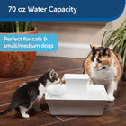 PetSafe Cat and Dog Water Fountain - Automatic Water Dispenser - Drinkwell Pagoda Ceramic Fountain for Pets - Filter Included - 70 oz