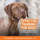 SportDOG Brand SportTrainer Remote Trainers - Bright, Easy to Read OLED Screen - Waterproof, Rechargeable Dog Training Collar with Tone, Vibration, and Static, 500 Yard Range - 2 Dog Expandable