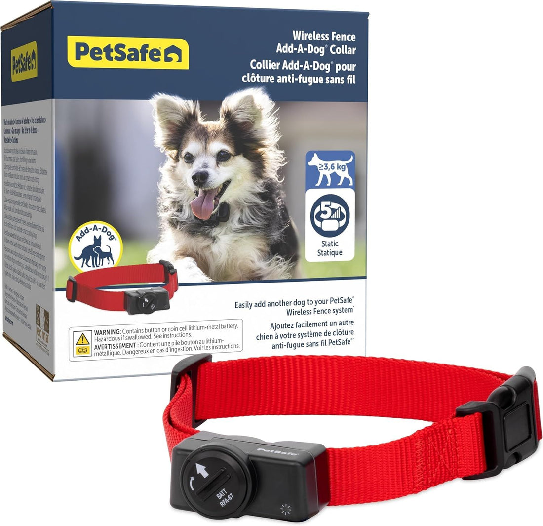 PetSafe Wireless Pet Containment System Receiver Collar for Dogs and Cats Over 2.3 kg, Waterproof with Tone and Static Stimulation