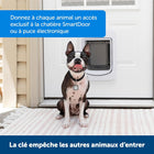 PetSafe Wireless Pet Containment System Receiver Collar for Dogs and Cats Over 2.3 kg, Waterproof with Tone and Static Stimulation