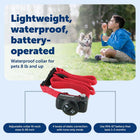 Petsafe In-Ground Fence for Dogs and Cats Over 8 lb., Waterproof, with Tone and Static Correction, red, Small (PIG00-13661)