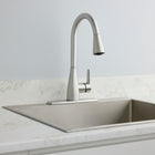 Project Source Ellesburg Stainless Steel Single Handle Deck-mount Pull-down Kitchen Faucet with Sprayer (Includes Deck Plate)
