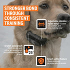 SportDOG Brand SportTrainer Remote Trainers - Bright, Easy to Read OLED Screen - Waterproof, Rechargeable Dog Training Collar with Tone, Vibration, and Static, 500 Yard Range - 2 Dog Expandable