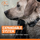 SportDOG Brand SportTrainer Remote Trainers - Bright, Easy to Read OLED Screen - Waterproof, Rechargeable Dog Training Collar with Tone, Vibration, and Static, 500 Yard Range - 2 Dog Expandable