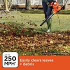 BLACK+DECKER Leaf Blower Vacuum Back Pack and Mulcher, Power Boost up to 250 MPH, 400 CFM, Corded (BEBL7000-CA)